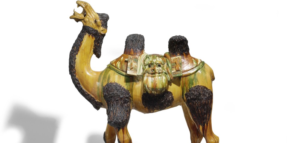 Bactrian camel Tang Dynasty elite living africa