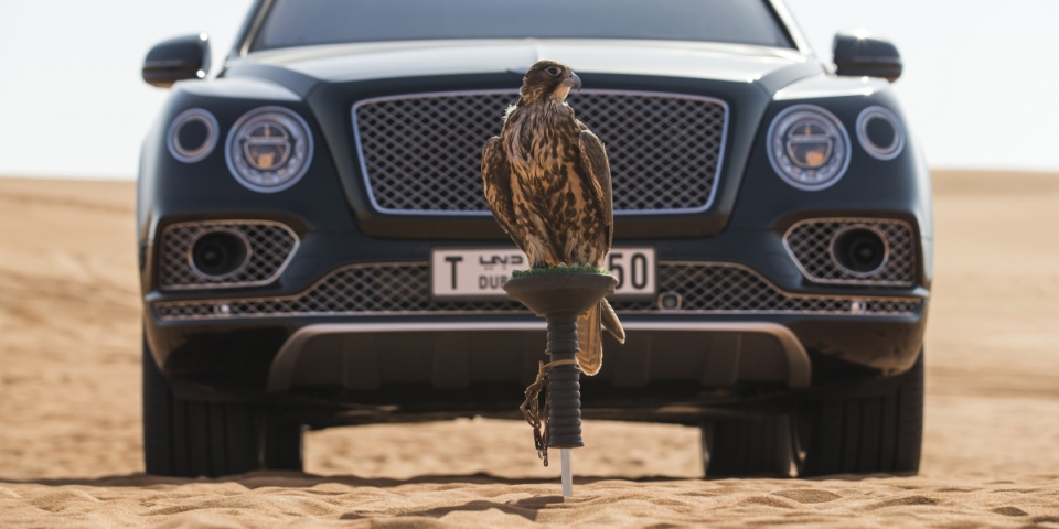 bentley elite living africa